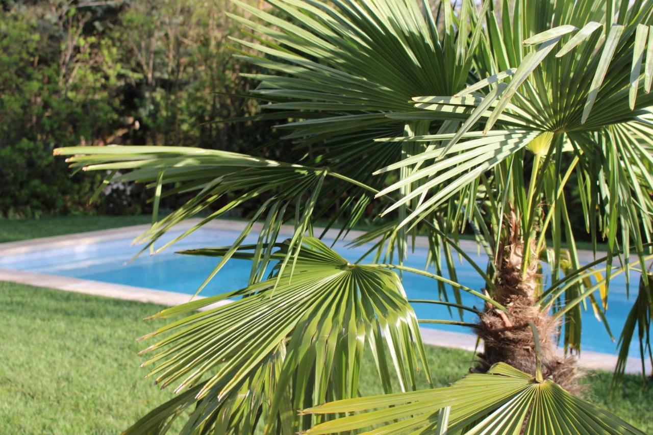 Les Romarins B&B, 10 Min D'Uzes, Piscine Et Grand Jardin, Table D'Hote Exterior photo